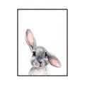 Picture of Floppy Bunny _GroupedProduct_Rectangle_Portrait_Canvas_Framed_