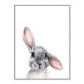 Picture of Floppy Bunny _GroupedProduct_Rectangle_Portrait_Canvas_Framed_