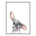 Picture of Floppy Bunny _GroupedProduct_Rectangle_Portrait_Canvas_Framed_