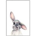 Picture of Floppy Bunny _GroupedProduct_Rectangle_Portrait_Canvas_Framed_