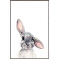 Picture of Floppy Bunny _GroupedProduct_Rectangle_Portrait_Canvas_Framed_