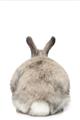 Picture of Behind Bunny _GroupedProduct_Rectangle_Portrait_Unframed_Print_Only_