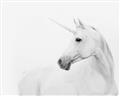 Picture of Sophisticated Unicorn neutral _GroupedProduct_Rectangle_Landscape_Unframed_Print_Only_