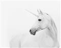 Picture of Sophisticated Unicorn neutral _GroupedProduct_Rectangle_Landscape_Unframed_Print_Only_