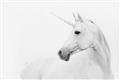 Picture of Sophisticated Unicorn neutral _GroupedProduct_Rectangle_Landscape_Unframed_Print_Only_
