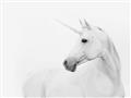 Picture of Sophisticated Unicorn neutral _GroupedProduct_Rectangle_Landscape_Unframed_Print_Only_