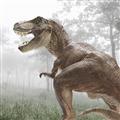 Picture of Trex in the Woods _GroupedProduct_Square_Unframed_Print_Only_