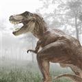 Picture of Trex in the Woods _GroupedProduct_Square_Unframed_Print_Only_