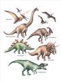 Picture of World of Dinos  _GroupedProduct_Rectangle_Portrait_Unframed_Print_Only_