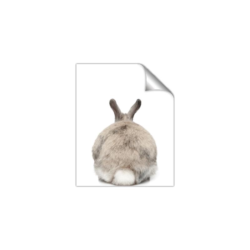 Picture of Behind Bunny _GroupedProduct_Rectangle_Portrait_Unframed_Print_Only_