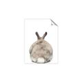 Picture of Behind Bunny _GroupedProduct_Rectangle_Portrait_Unframed_Print_Only_