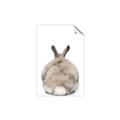 Picture of Behind Bunny _GroupedProduct_Rectangle_Portrait_Unframed_Print_Only_