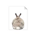 Picture of Behind Bunny _GroupedProduct_Rectangle_Portrait_Unframed_Print_Only_
