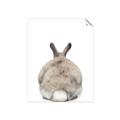 Picture of Behind Bunny _GroupedProduct_Rectangle_Portrait_Unframed_Print_Only_