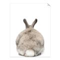 Picture of Behind Bunny _GroupedProduct_Rectangle_Portrait_Unframed_Print_Only_