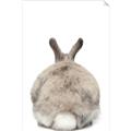 Picture of Behind Bunny _GroupedProduct_Rectangle_Portrait_Unframed_Print_Only_