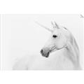 Picture of Sophisticated Unicorn neutral _GroupedProduct_Rectangle_Landscape_Unframed_Print_Only_