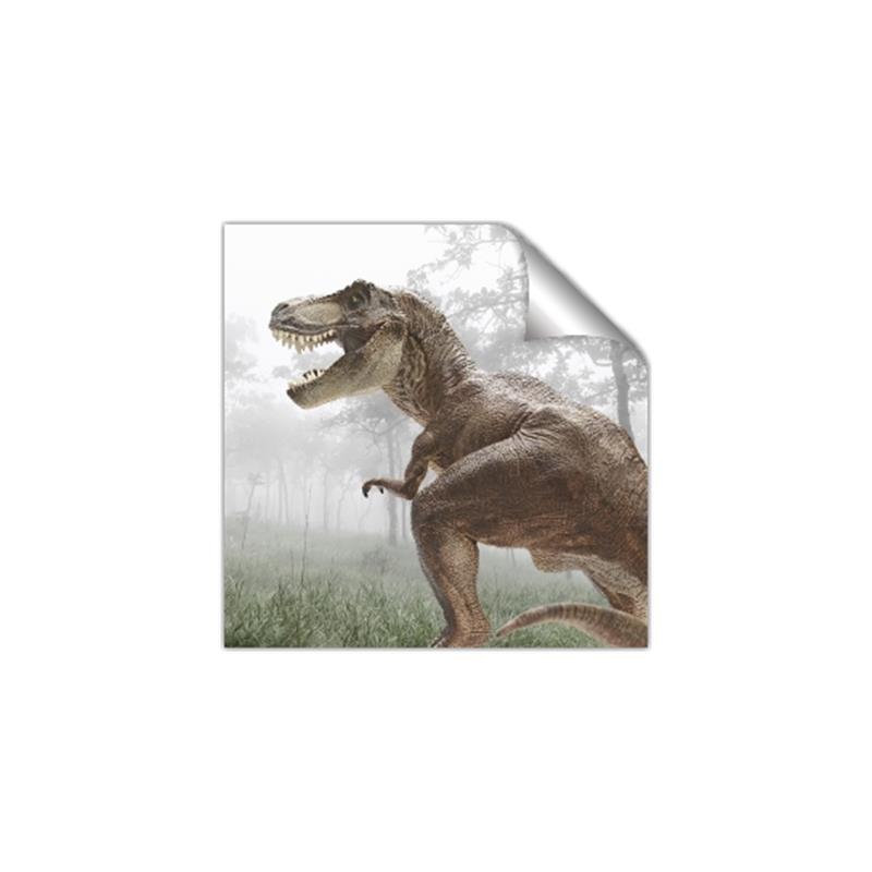 Picture of Trex in the Woods _GroupedProduct_Square_Unframed_Print_Only_