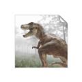 Picture of Trex in the Woods _GroupedProduct_Square_Unframed_Print_Only_
