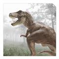 Picture of Trex in the Woods _GroupedProduct_Square_Unframed_Print_Only_