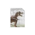 Picture of Forest Dino I  _GroupedProduct_Rectangle_Portrait_Unframed_Print_Only_