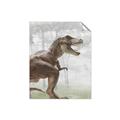 Picture of Forest Dino I  _GroupedProduct_Rectangle_Portrait_Unframed_Print_Only_