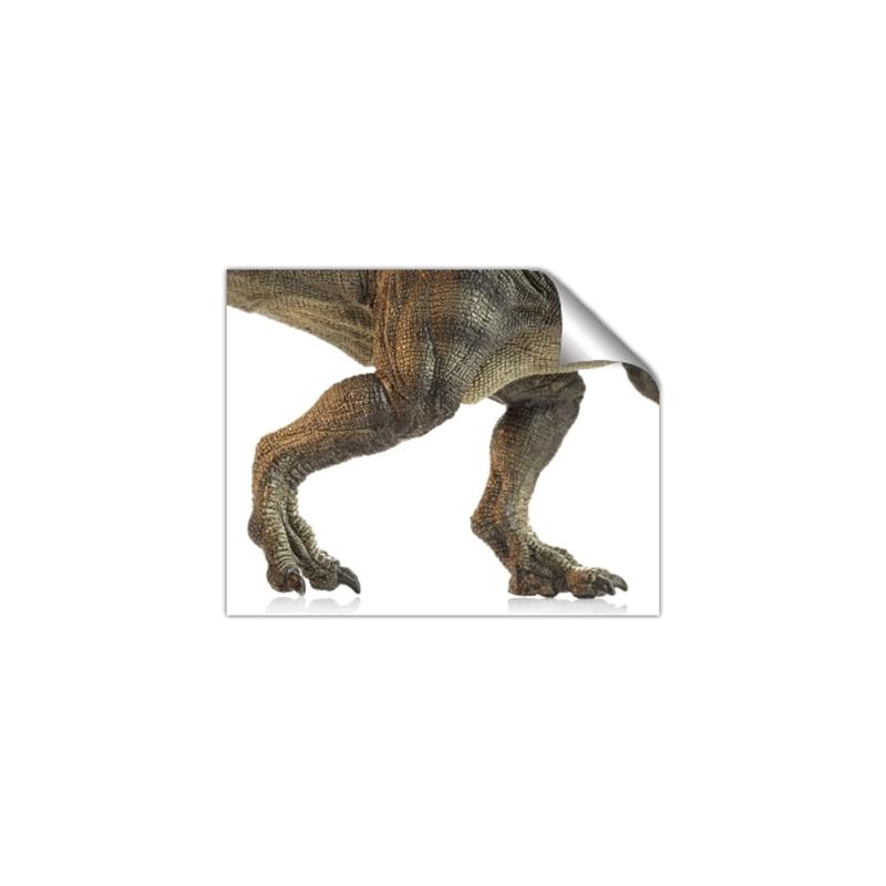 Picture of Stomp Around _GroupedProduct_Rectangle_Landscape_Unframed_Print_Only_