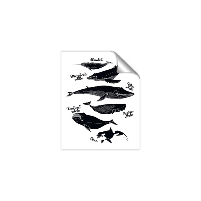 Picture of Ocean Life Black and White _GroupedProduct_Rectangle_Portrait_Unframed_Print_Only_