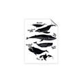Picture of Ocean Life Black and White _GroupedProduct_Rectangle_Portrait_Unframed_Print_Only_