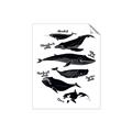 Picture of Ocean Life Black and White _GroupedProduct_Rectangle_Portrait_Unframed_Print_Only_