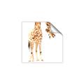 Picture of Bending over Giraffe _GroupedProduct_Square_Unframed_Print_Only_