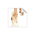 Picture of Bending over Giraffe _GroupedProduct_Square_Unframed_Print_Only_