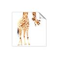 Picture of Bending over Giraffe _GroupedProduct_Square_Unframed_Print_Only_