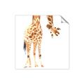 Picture of Bending over Giraffe _GroupedProduct_Square_Unframed_Print_Only_