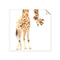Picture of Bending over Giraffe _GroupedProduct_Square_Unframed_Print_Only_