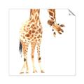 Picture of Bending over Giraffe _GroupedProduct_Square_Unframed_Print_Only_