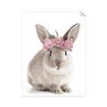 Picture of Floral In Front Bunny _GroupedProduct_Rectangle_Portrait_Unframed_Print_Only_