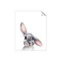 Picture of Floppy Bunny _GroupedProduct_Rectangle_Portrait_Unframed_Print_Only_