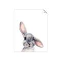 Picture of Floppy Bunny _GroupedProduct_Rectangle_Portrait_Unframed_Print_Only_