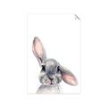 Picture of Floppy Bunny _GroupedProduct_Rectangle_Portrait_Unframed_Print_Only_