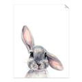 Picture of Floppy Bunny _GroupedProduct_Rectangle_Portrait_Unframed_Print_Only_