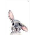 Picture of Floppy Bunny _GroupedProduct_Rectangle_Portrait_Unframed_Print_Only_