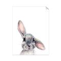 Picture of Floppy Bunny _GroupedProduct_Rectangle_Portrait_Unframed_Print_Only_