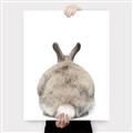 Picture of Behind Bunny _GroupedProduct_Rectangle_Portrait_Canvas_