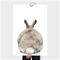Picture of Behind Bunny _GroupedProduct_Rectangle_Portrait_Canvas_