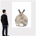 Picture of Behind Bunny _GroupedProduct_Rectangle_Portrait_Canvas_