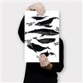 Picture of Ocean Life Black and White _GroupedProduct_Rectangle_Portrait_Canvas_