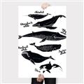 Picture of Ocean Life Black and White _GroupedProduct_Rectangle_Portrait_Canvas_