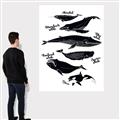 Picture of Ocean Life Black and White _GroupedProduct_Rectangle_Portrait_Canvas_
