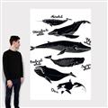 Picture of Ocean Life Black and White _GroupedProduct_Rectangle_Portrait_Canvas_